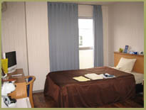 �V���O��